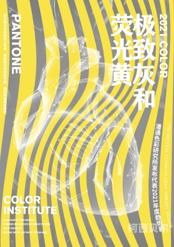 2021黄片在线，网络上的新鲜资讯