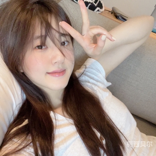 看久久久久久一级毛片免费毛片免费，探索级别的高质量内容文章标题