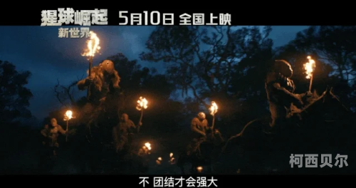 99resp在线视频，引领潮流，视频新纪元