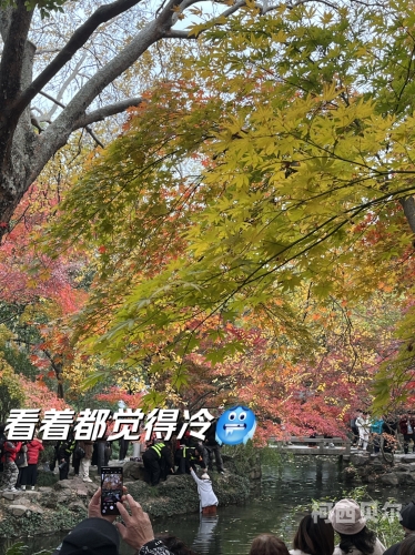 秋霞肉丝无码不卡免费视频秋霞肉丝无码免费观看视频攻略
