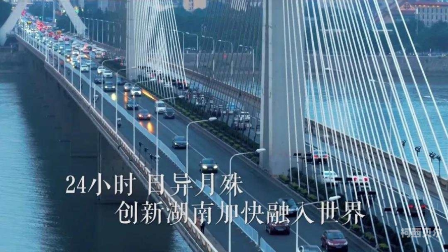 中文高清无码八区中文高清八区新闻资讯，探索多元文化下的新闻世界
