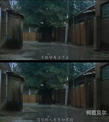 成人理论免费手机看片，探索网络世界的隐秘角落
