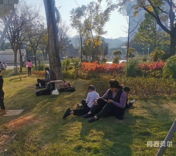 无码多人3P在线观看视频，探索网络新风尚无码标清视频