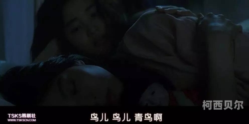 羞视频网站无码，探索背后的神秘世界你在看羞羞的视频