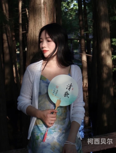 国产美女盛宴，久久浪潮AA的独特魅力