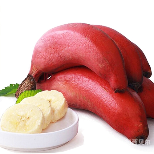 《全部孕妇毛片丰满孕妇孕交a,色狠狠一区二区三区香蕉,久久久久久久久蜜桃,》孕妇新闻，全面揭秘孕期生活与性健康