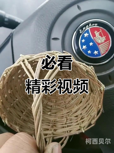 国产无遮挡视频软件大揭秘，内容丰富，用户评价两极分化国产不付费黄台app软件