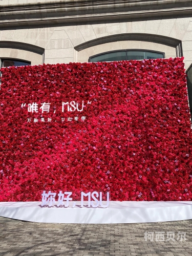 精灵耳妹子首次亮相亚洲，神秘又撩人