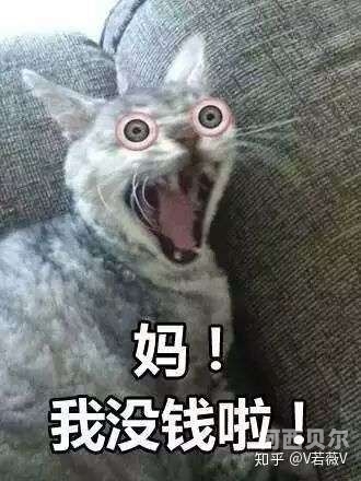 破哭视频，新闻资讯网站揭秘破哭为笑的表情包