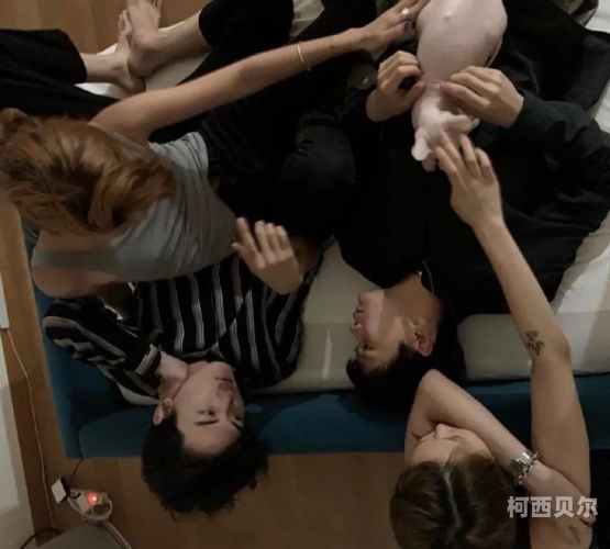 sm网站sm网站，引领潮流，展现多元文化的新窗口