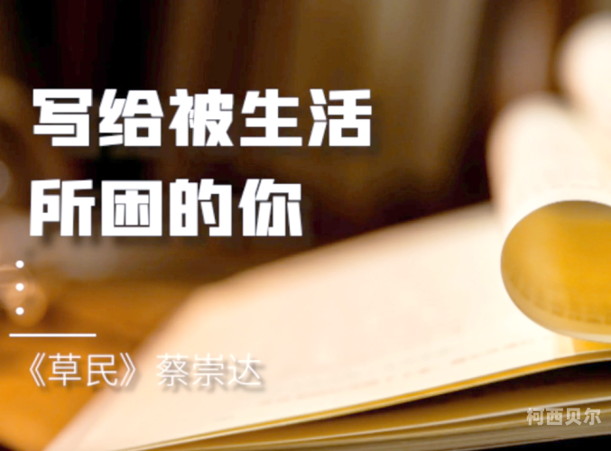 草民成人影视，网络新闻资讯草民成人民电影app