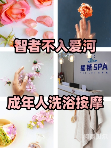 成人国产日韩激情在线观看，探索网络视频的新世界成人国产日韩激情在线观看