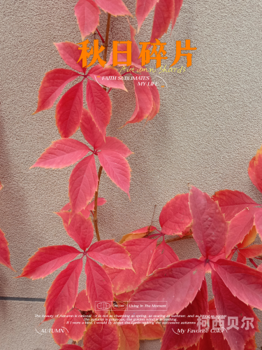 www.bbb86.com百度收录，关于www.bbb86.com的角色设定与新闻资讯
