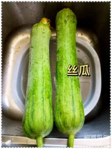 丝瓜视频成人A∨在线丝瓜视频成人A∨在线，探索视频内容的全新篇章
