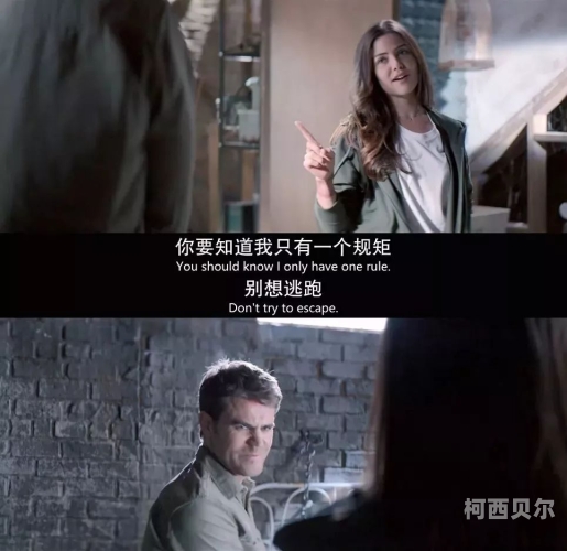 欧美中文字幕在线一级成人欧美中文字幕在线一级成人，探索性新闻资讯