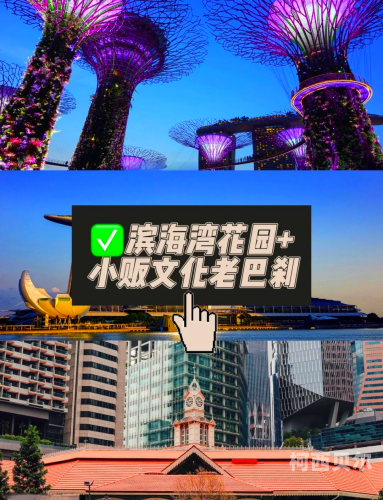 亚洲成人在线xx亚洲成人在线盛事揭秘，探索多元文化下的健康与乐趣