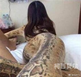 youji zxxxx您希望写一篇关于xxxx新闻资讯的文章，以下是一个可能的文章标题和内容大纲