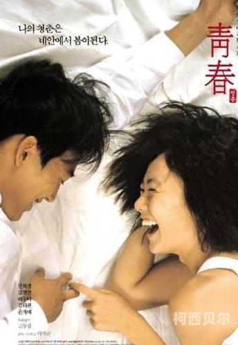 H片免费在线观看，探索成人内容的边界与选择