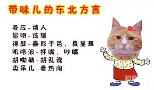 精品少妇东北话对白大揭秘东北老妇少夫离婚了吗