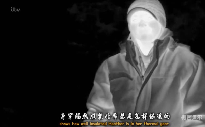 成人爽a毛片免费网站美国水蜜桃成人爽A毛片免费网站揭秘，探索美国水蜜桃的神秘诱惑