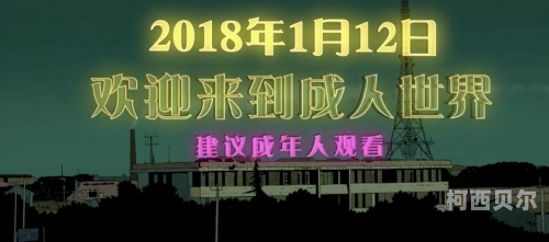 国产成人精品网站揭秘，探寻黑人神秘魅力