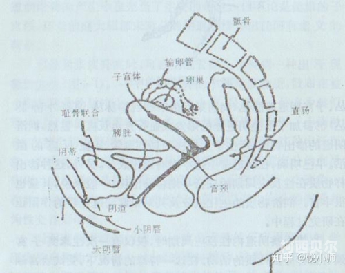 e奶 高潮e奶高潮，母婴健康新篇章