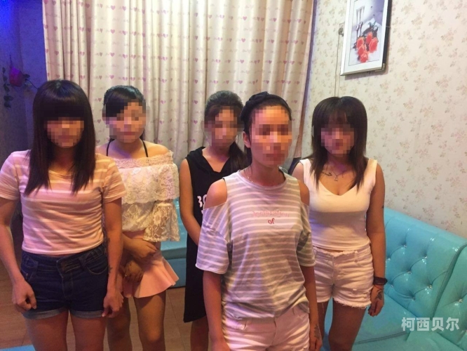 探花午夜嫖娼在线，揭秘网络妓女背后的神秘世界探花午夜嫖娼在线视频